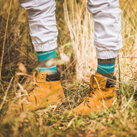 Adventure - Crew Sock - Brown Teal