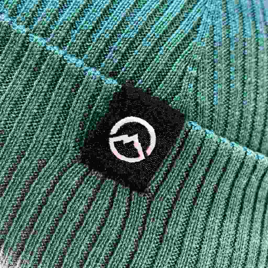 Polar Beanie