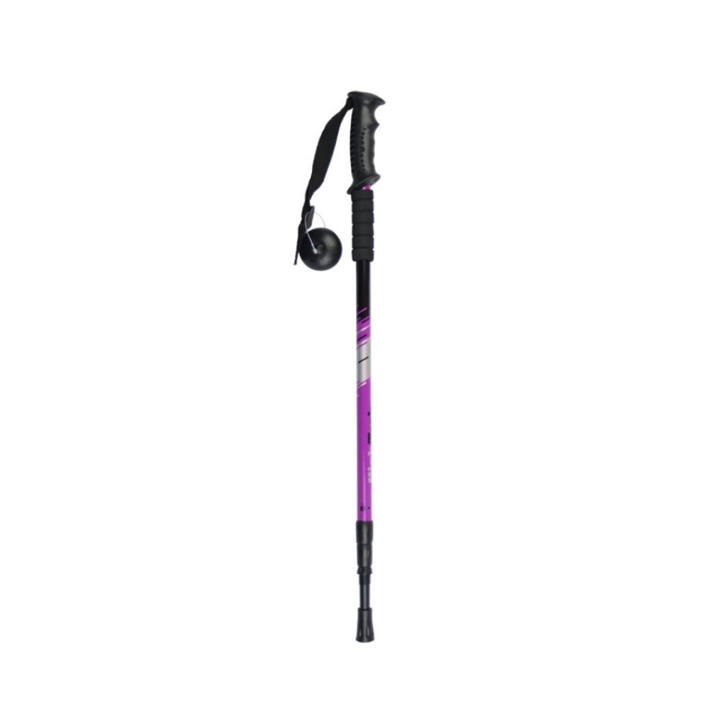 Wanderer 6061 Walking Pole (Ski-grip)