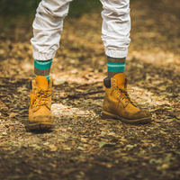 Adventure - Crew Sock - Brown Teal