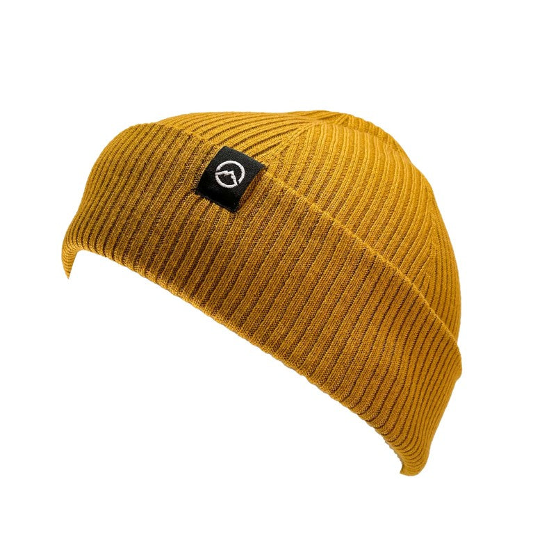 Polar Beanie
