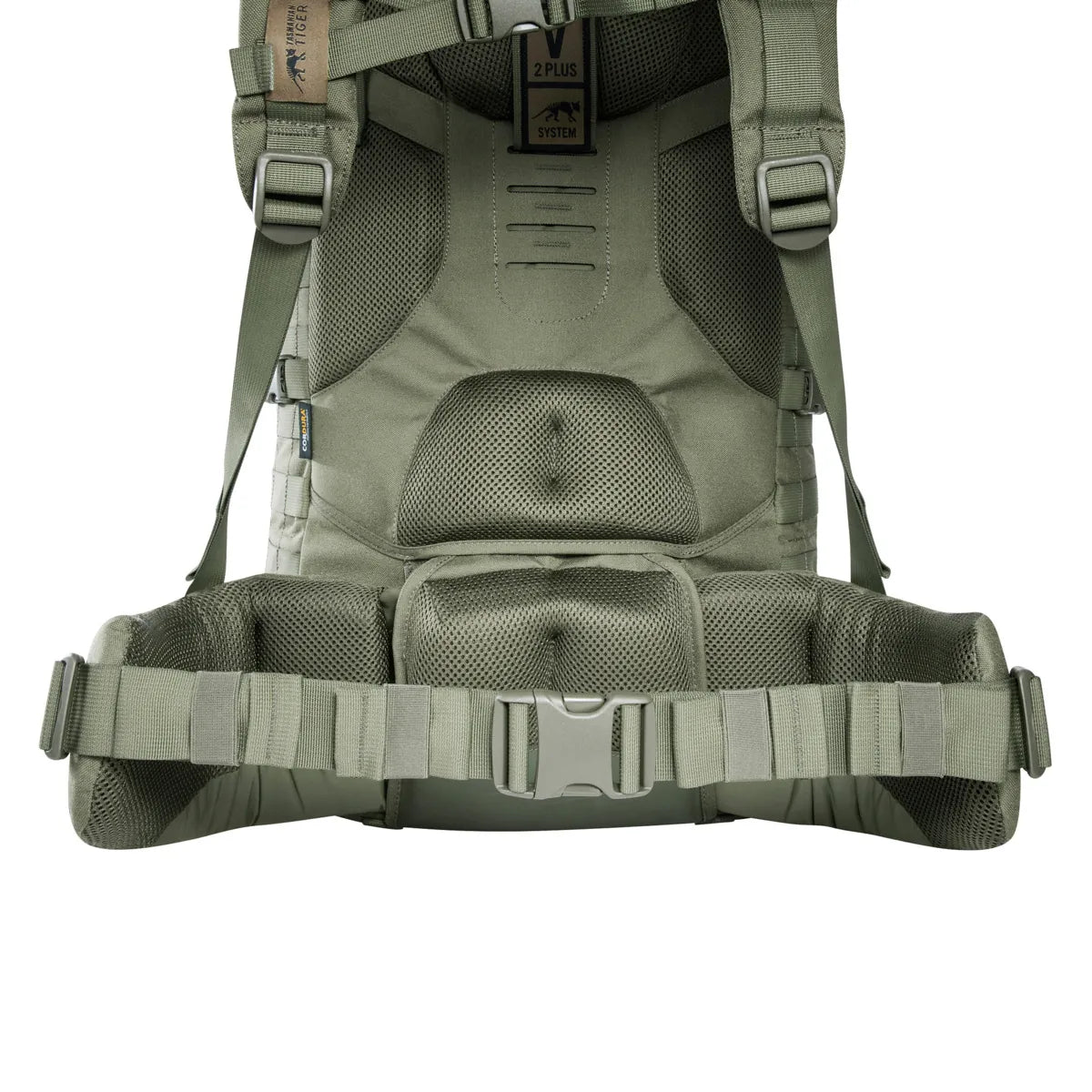 Close-up of the harness and hip belt on the Tasmanian Tiger Base Pack 60 FO in olive | TT8846.331